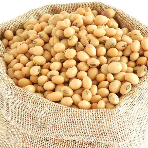  Soya Bean 1kg/PKT Self Pack |  Soya Bean 1kg/PKT Self Pack