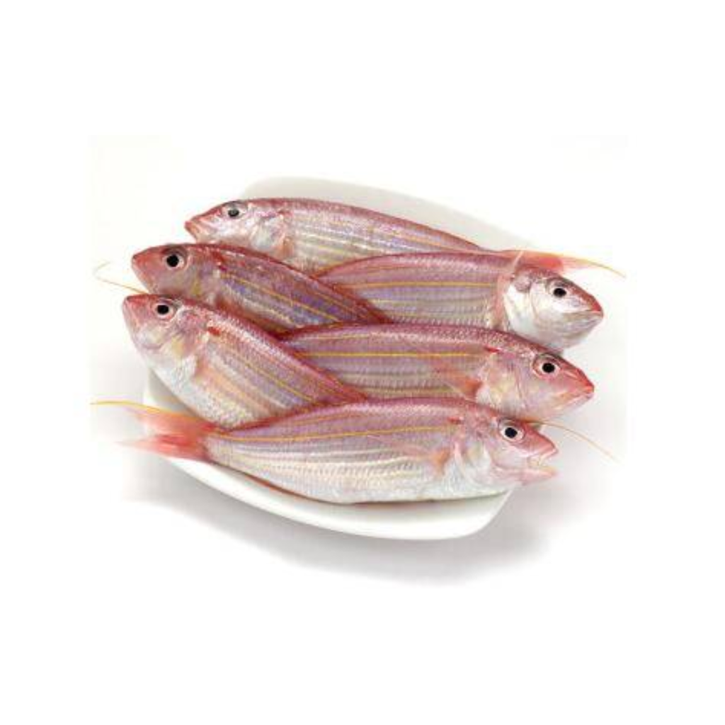 金线鱼 1kg | Japanese Threadfinbream 1kg