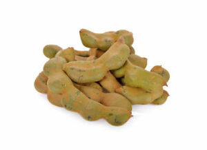 泰国 嫩罗望子 100/包 | Tamarind Young Fresh 100g/PKT