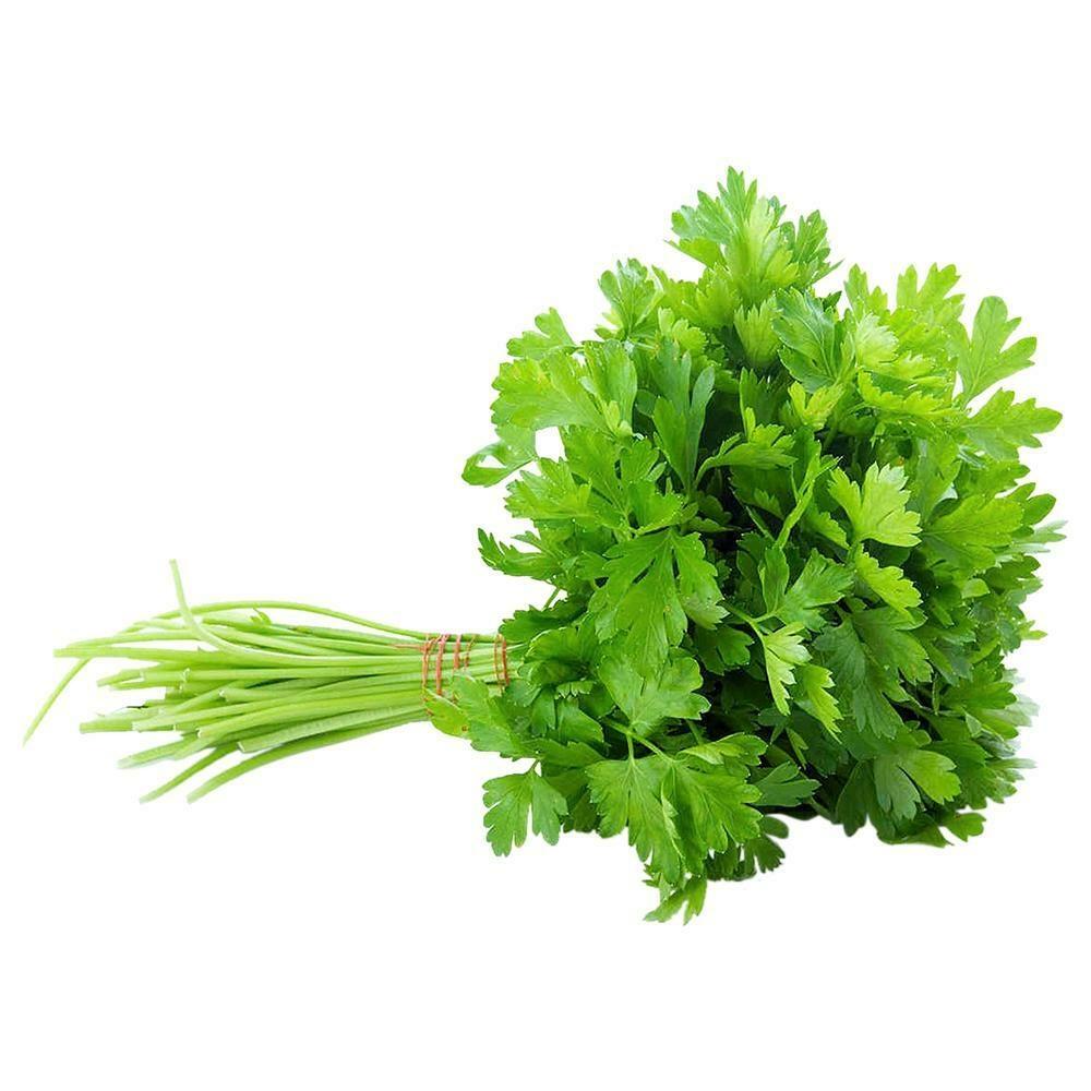 新鲜 香菜 把 | CORIANDER 130g/BUNCH