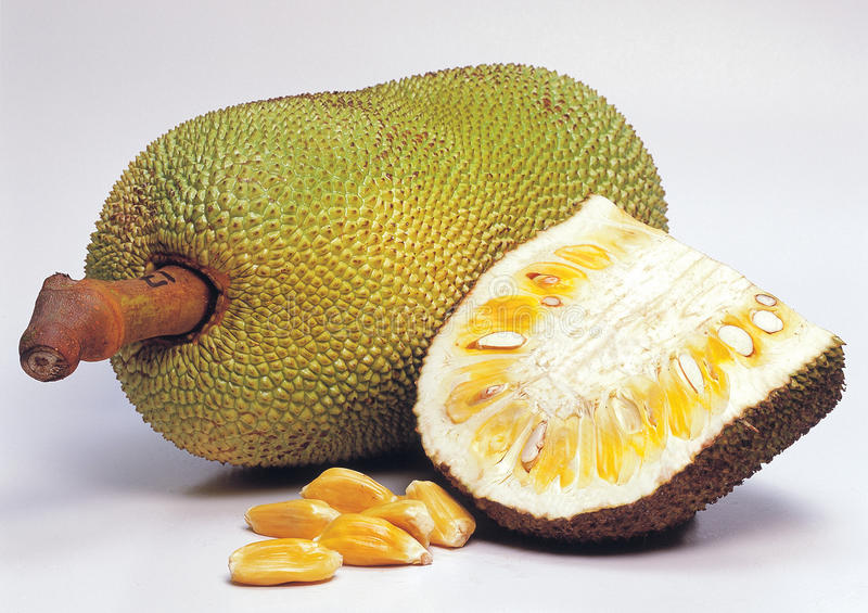 菠萝蜜新鲜/千克 | ASEA Jackfruit Fresh / KG