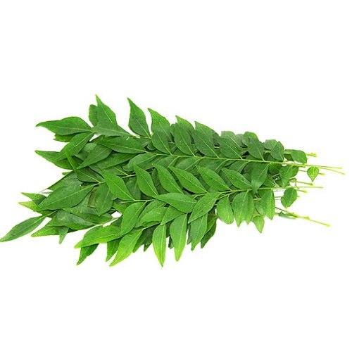 咖喱叶40g | ASEA Curry Leaf 40g