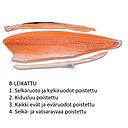 TUO Salmon B Skin On with pinbone 1kg | TUO 新鲜 三文鱼(B带皮带刺) 1kg