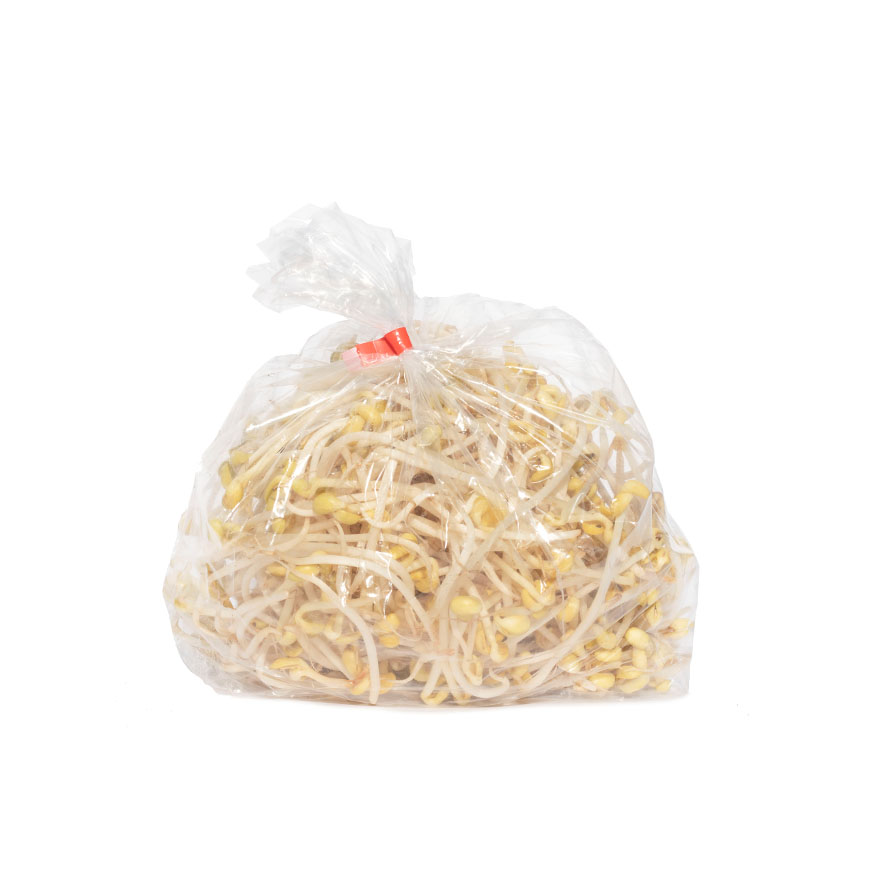 Taugee Yellow bean sprouts 450g/bag | 新鲜 黄豆芽 450g/bag