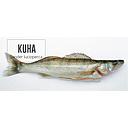 Fresh KUHA 1kg | 新鲜 kuha鱼 1kg