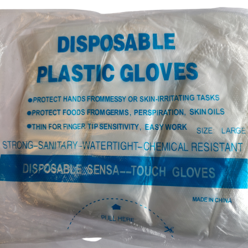 一次性塑料手套 100只 | Disposable Plastic Gloves 100Pcs