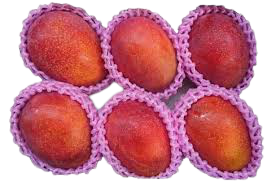 EAT ME Mango 4 kg/CTN |  EAT ME 新鲜  芒果 4kg/箱