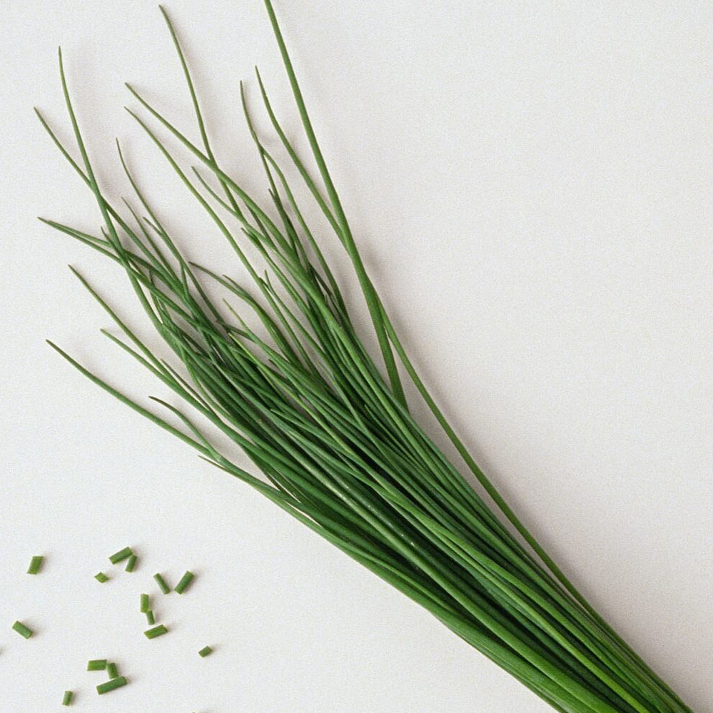Bleslook (French chives) 150g