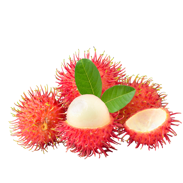 红毛丹 500g/盒 | Fresh Rambutan 500g/unit