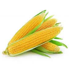 芬兰产 甜玉米 kg | FI Fresh Sweet Corn kg