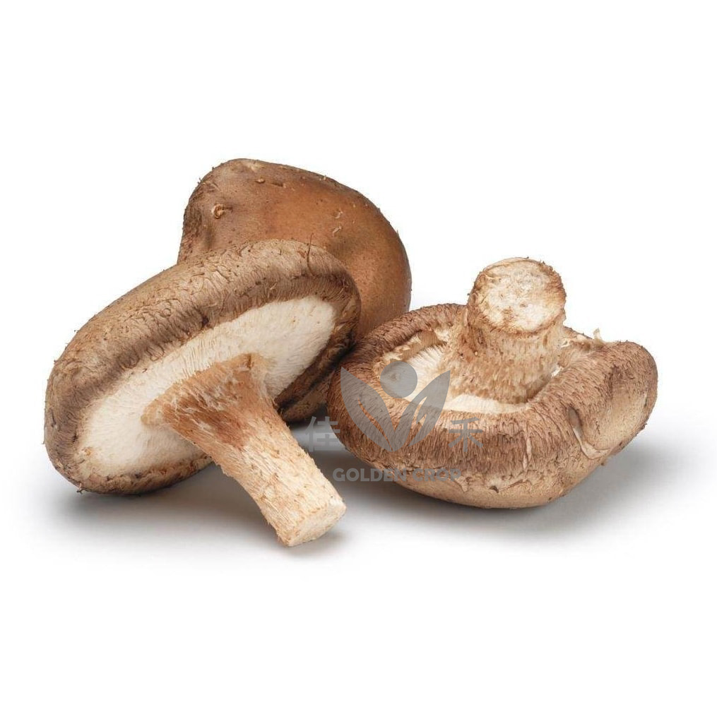 新鲜 香菇 150g｜Fresh Shiitake 150g