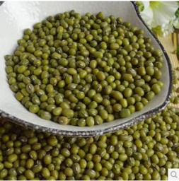 [30064] ASEA Green Bean/Mung Bean 25kg | 绿豆 25kg | ASEA Green Bean/Mung Bean 25kg | 绿豆 25kg