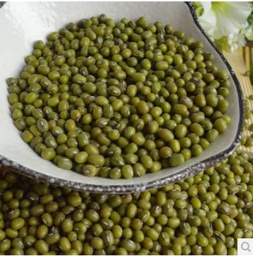 [30064] Green Bean/Mung Bean 25kg | 绿豆 25kg |