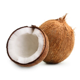 [10557] Old Coconut /PC | 老椰子/ 只