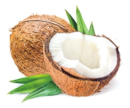 [10043] Coconut 1kg | 新鲜椰子 1kg