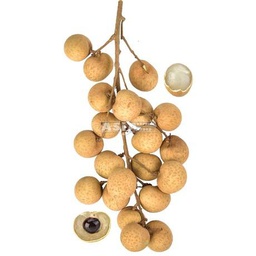[10090] Fresh Longan 500g | 新鲜龙眼 500g