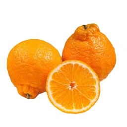 [10136] Fresh UGLY Mandarin / kg | 新鲜丑橘